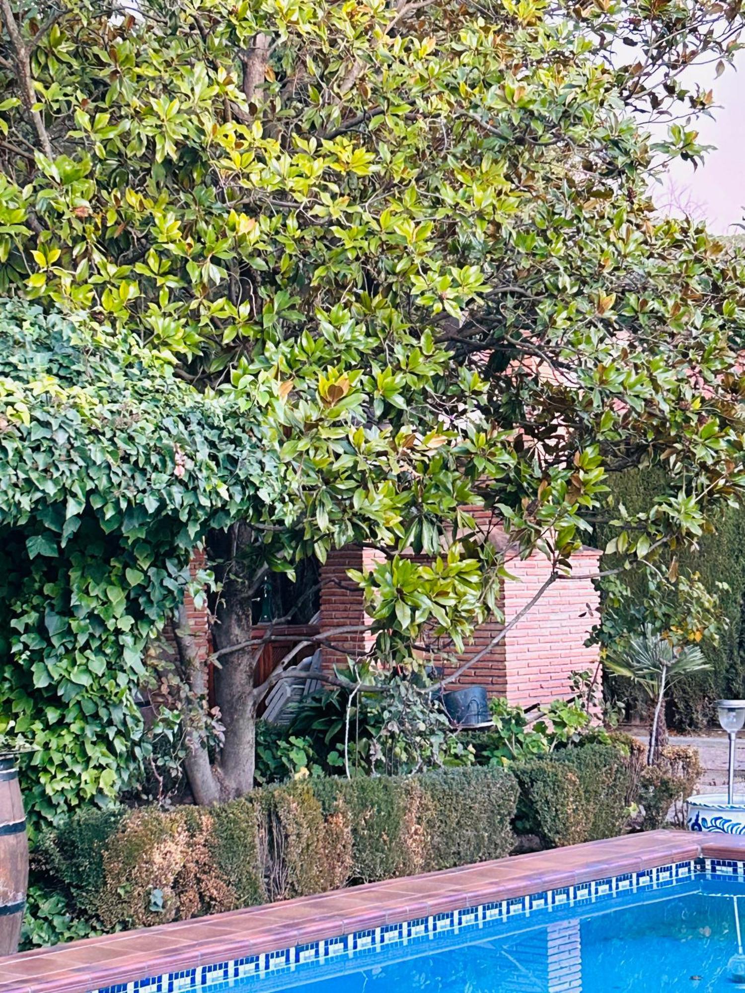 Casa Los Rosales Alfacar Exterior foto