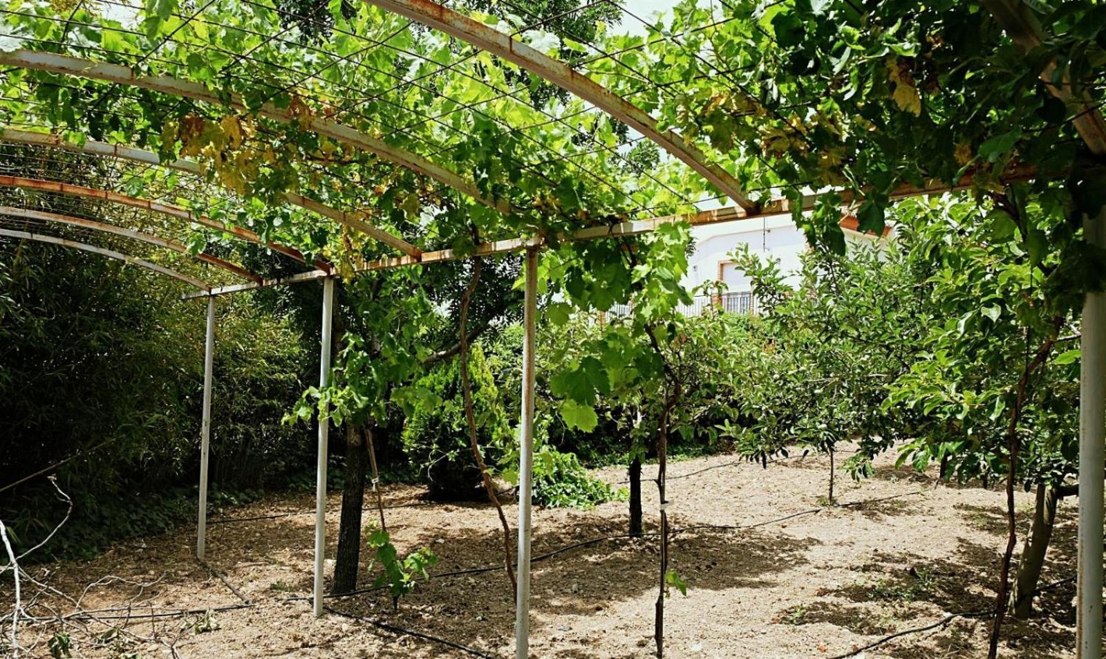 Casa Los Rosales Alfacar Exterior foto
